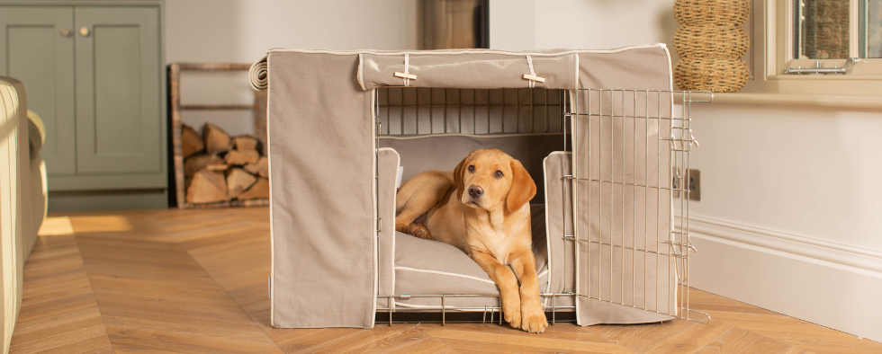 Lazy bones sales canvas dog crate