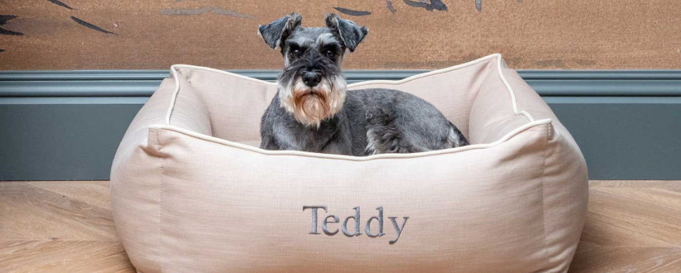 Omega hooded sales cave dog bed