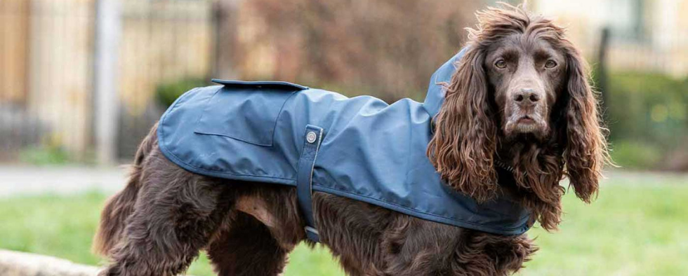 Dog 2024 agility clothing