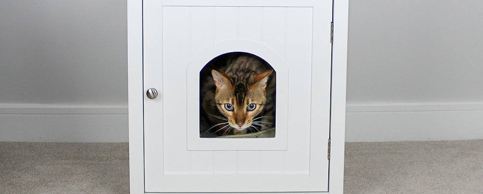 The Best Litter Trays, Cat Litter & Accessories | L&L Info Hub  Lords &  Labradors