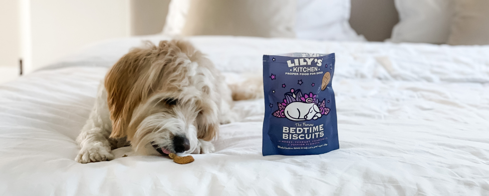 Your pup hub 2024 pillow