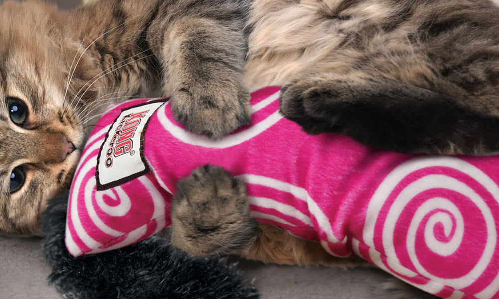 The Best Catnip & Teaser Toys for Cats