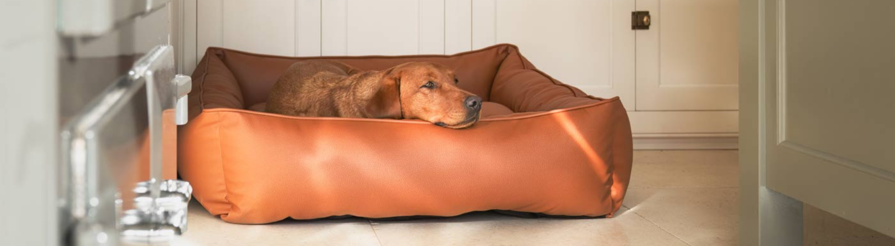 Waterproof Dog Beds Pet Bedding Lords & Labradors