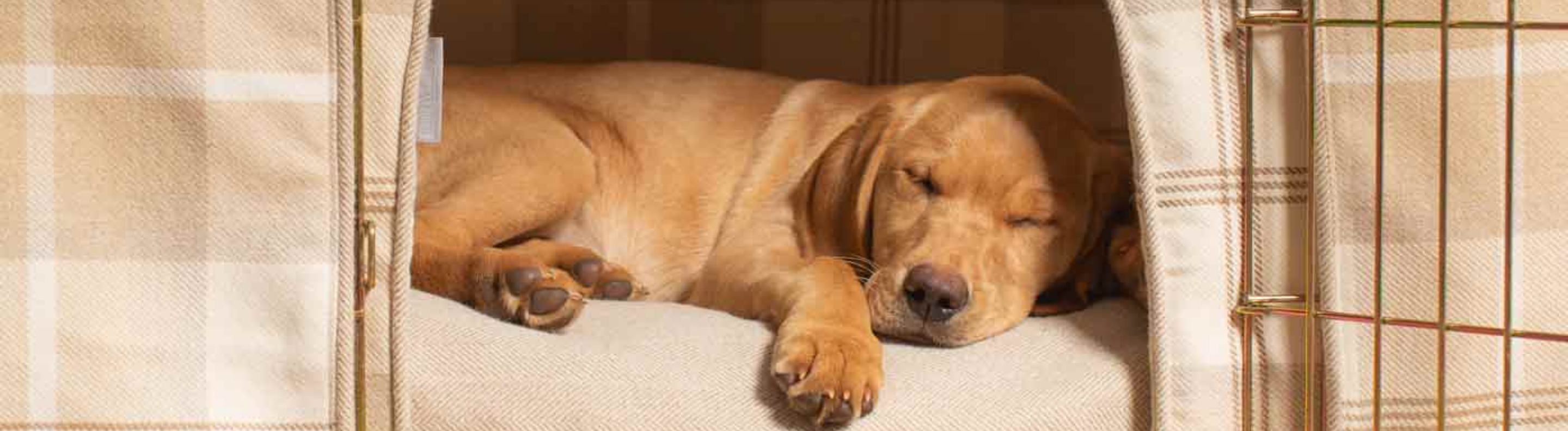 Best Sellers For Dogs Page 2 Lords & Labradors