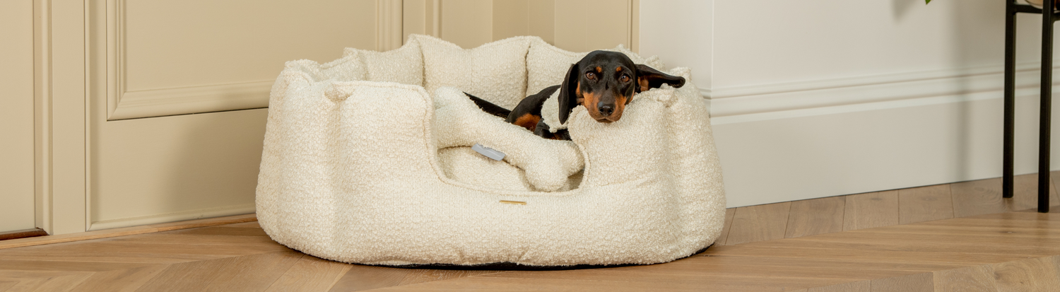 High Sided Dog Beds