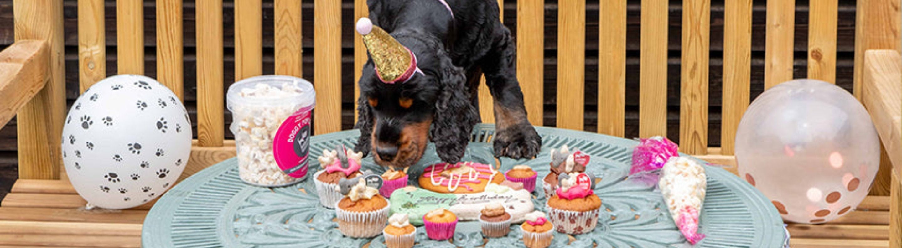 Dog Birthday Treats Dog Party Treats Lords & Labradors