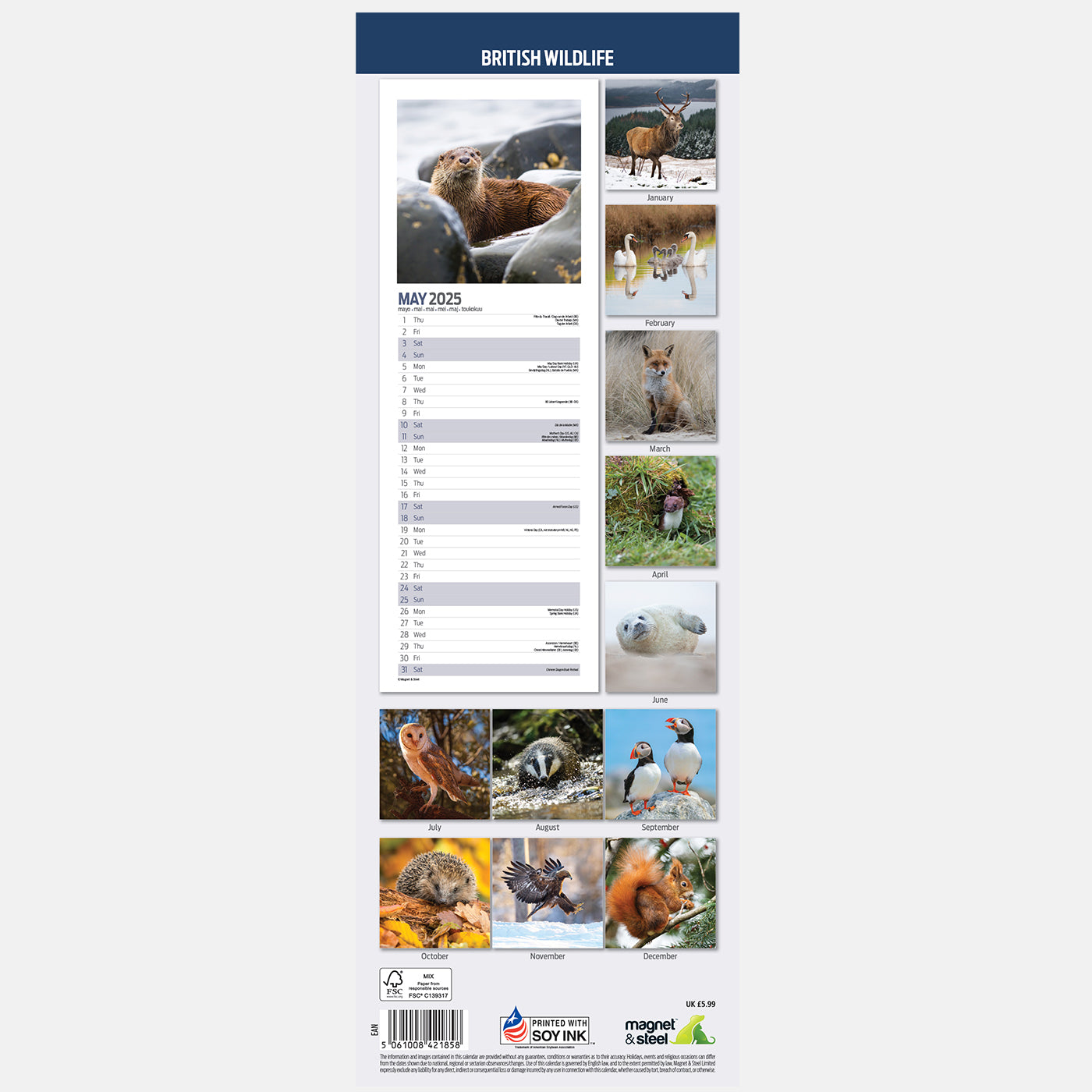 British Wildlife Slim Calendar 2025