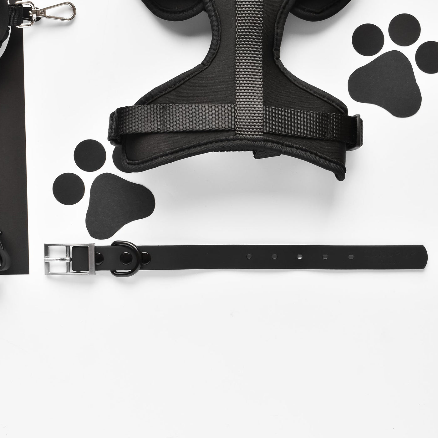 Cocopup London Liquorice NAKD Dog Collar