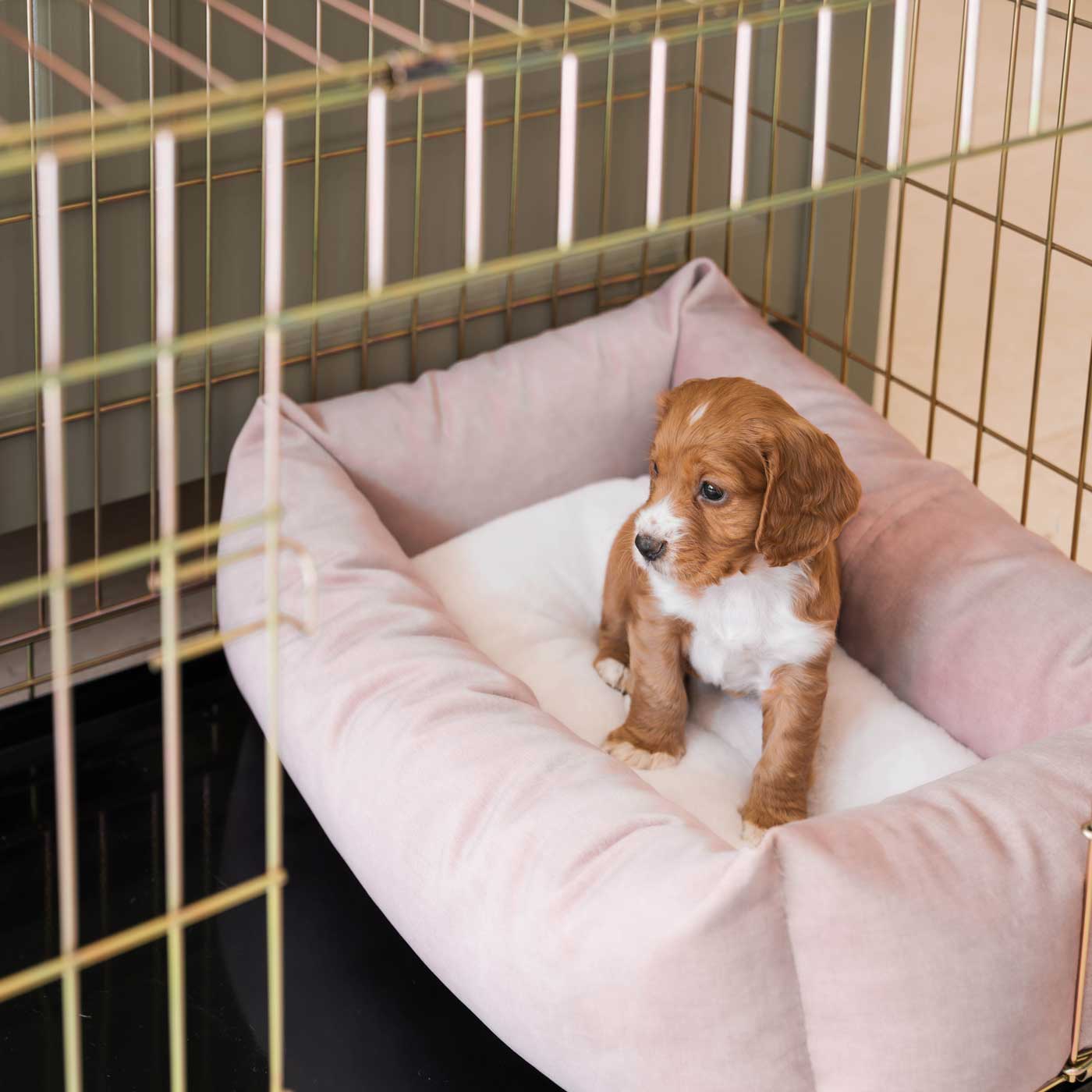 Dog Crate with Cosy & Calming Puppy Crate Bed in Blossom Velvet by Lords & Labradors