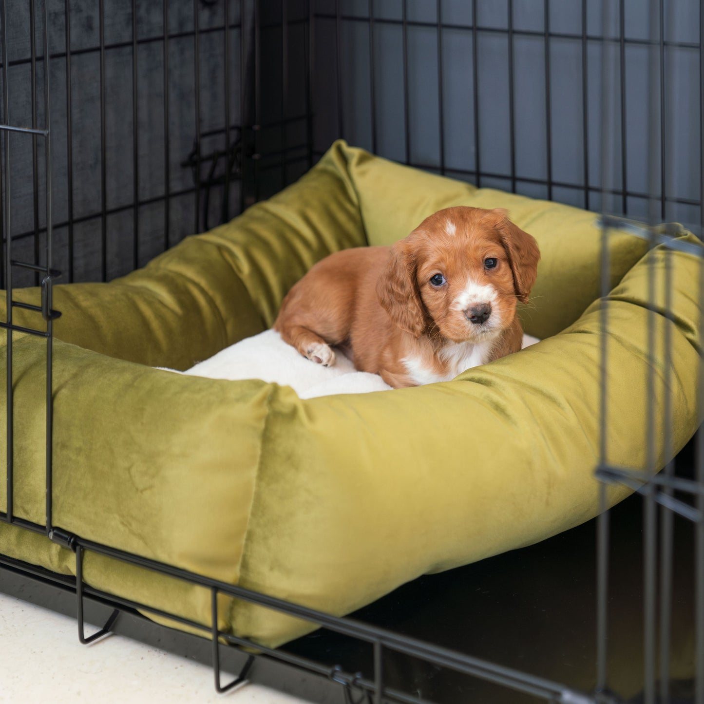 Dog Crate with Cosy & Calming Puppy Crate Bed in Olive Velvet by Lords & Labradors