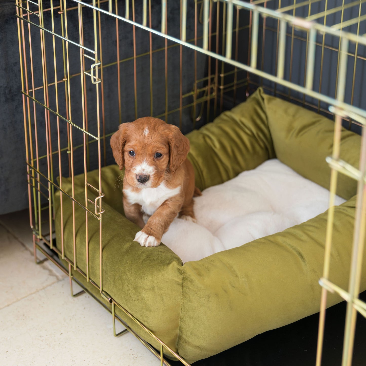 Cosy & Calming Puppy Crate Bed With Removable Covers In Olive Velvet by Lords & Labradors