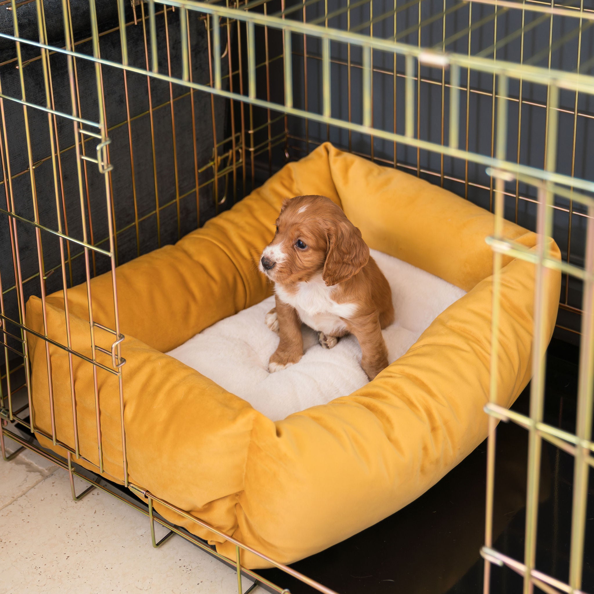 Crates For Calm Working Dogs photo