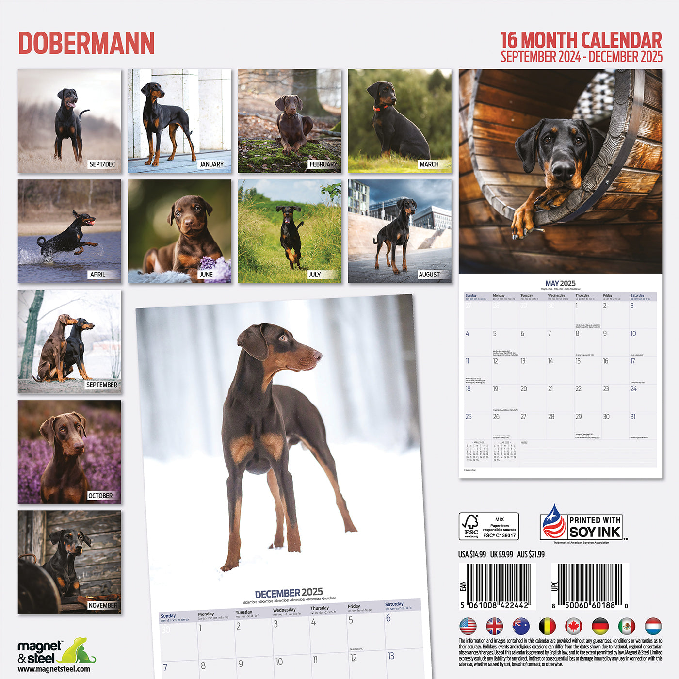 Doberman Traditional Calendar 2025