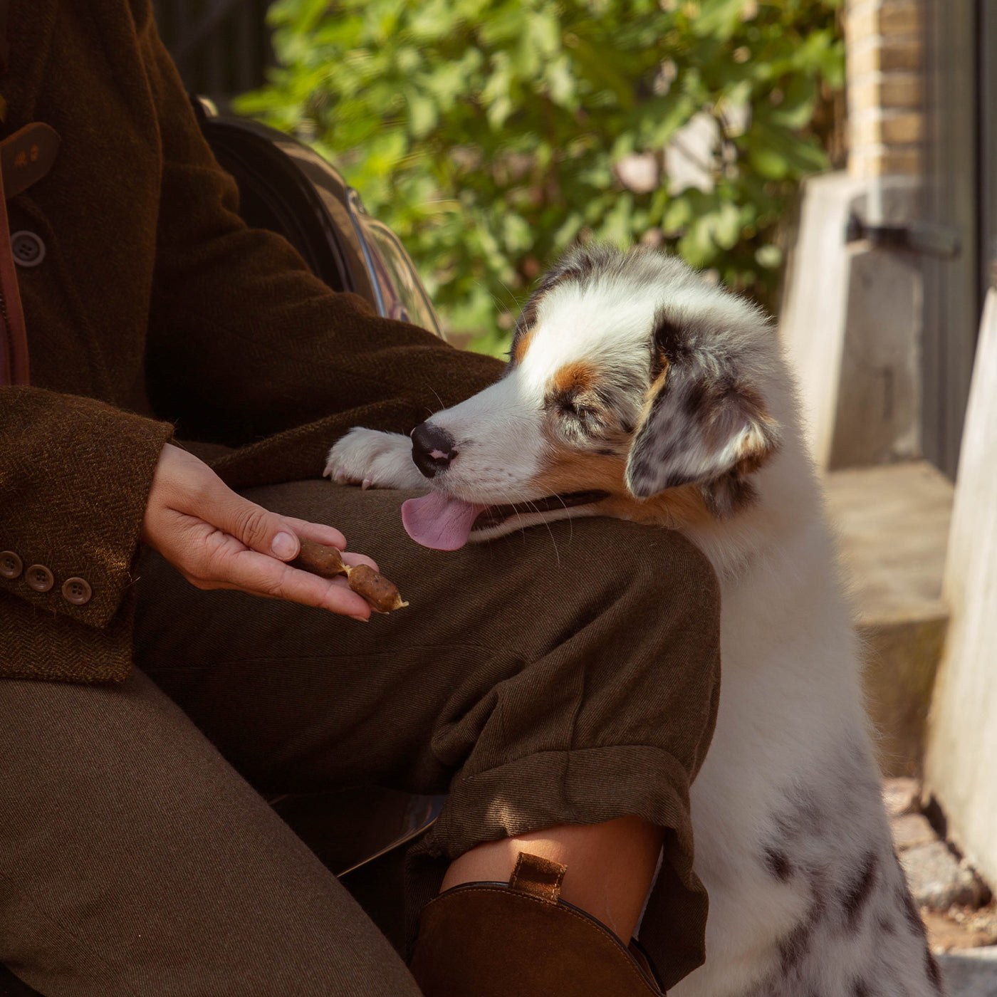 Essential Foods Finest Salmon & Parsley Mini Sausages Dog Treats 20pcs