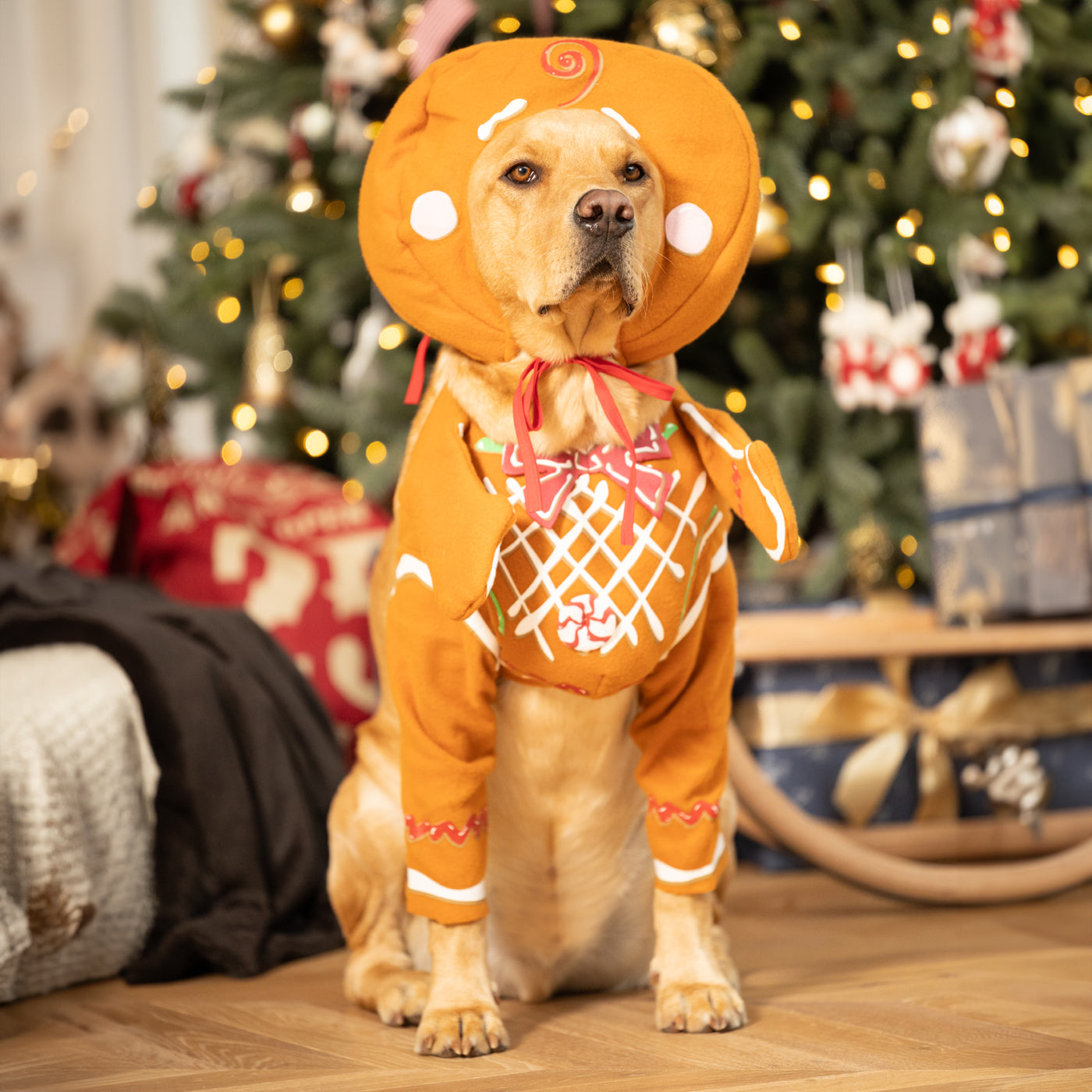 christmas dress for puppy Large Dog Christmas Costume, Xmas Santa Red Hooded Cape for Cats and Dogs, Winter Dog Coat Pet Clothes Custom Size, Christmas Gift for Pets