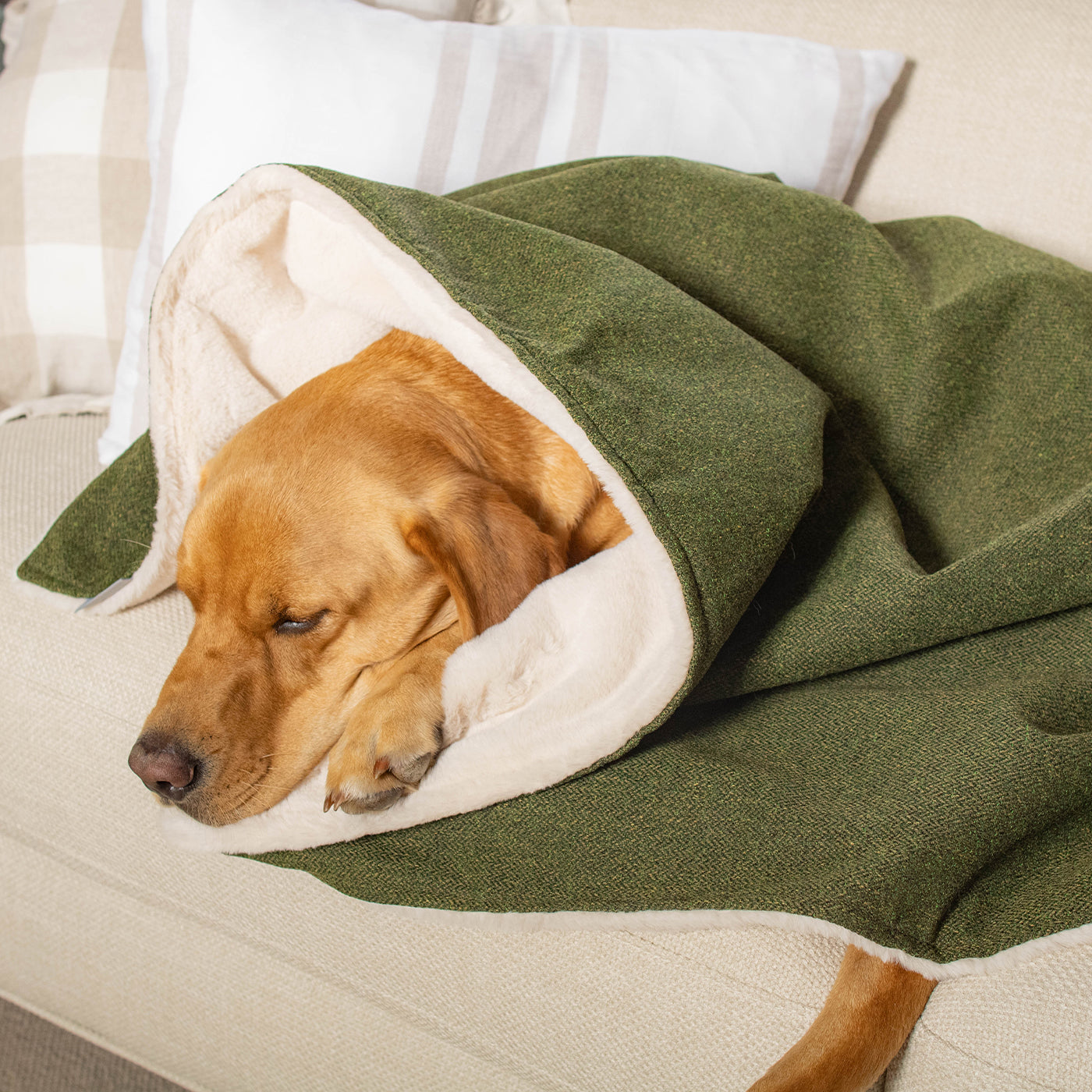 Dog & Puppy Blanket in Moss Orkney Tweed by Lords & Labradors