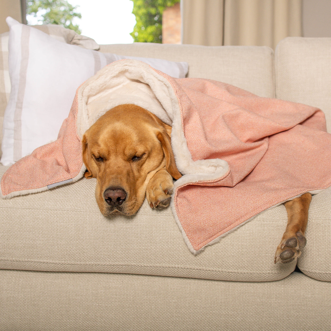 Dog & Puppy Blanket in Peony Orkney Tweed by Lords & Labradors