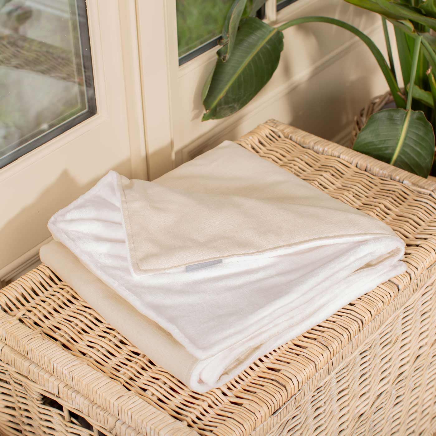 Discover Our Luxurious Savanna Bone Dog Blanket With Super Soft Sherpa & Teddy Fleece, The Perfect Blanket For Puppies, Available To Personalise And In 2 Sizes Here at Lords & Labradors