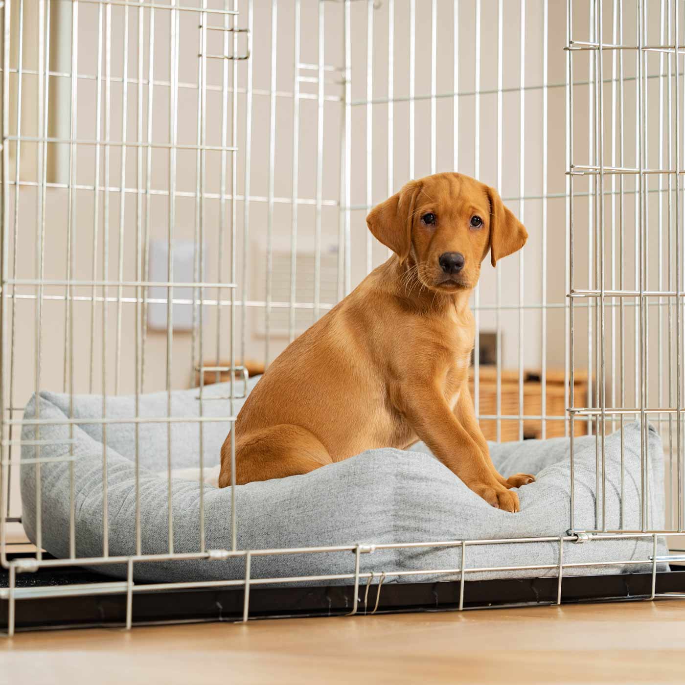 Inchmurrin Cosy & Calm Puppy Box Bed, The Perfect Dog Crate Bed For Pets! To Build The Ultimate Dog Den! In Light Grey Inchmurrin Iceberg! Available To Personalise Now at Lords & Labradors
