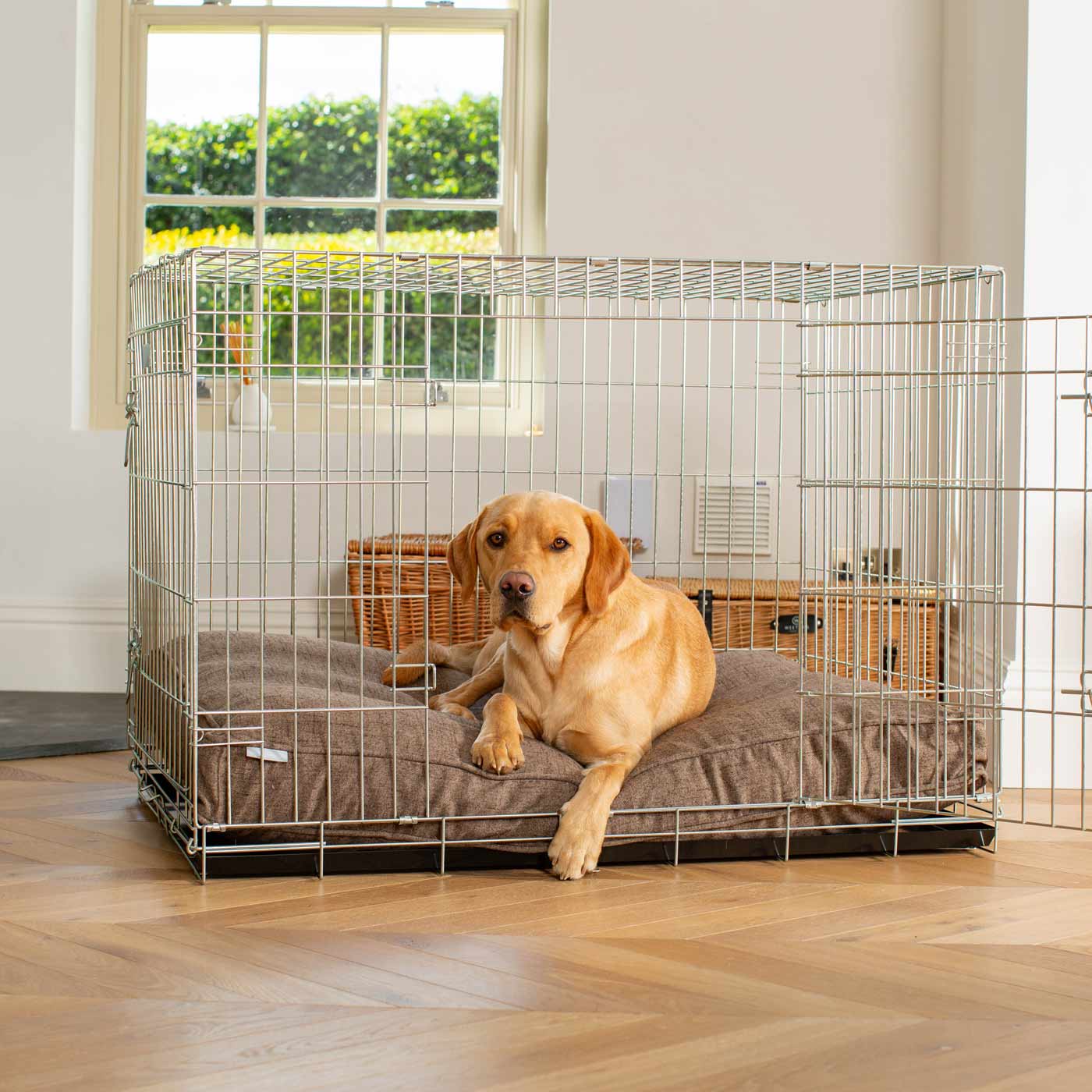 Large Breed Dog Crate And Cushion Set photo