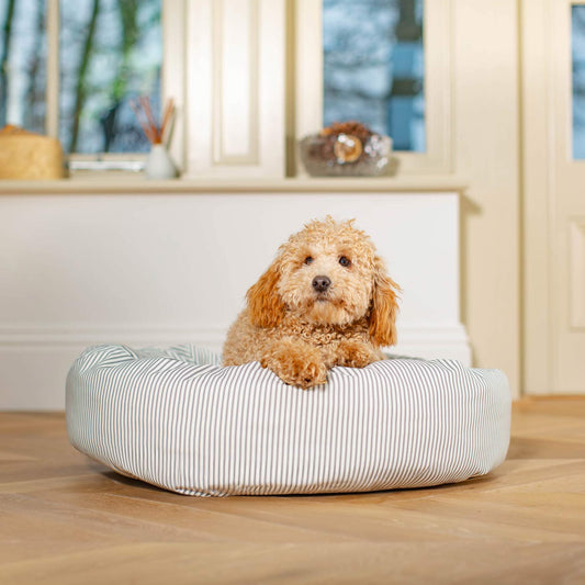 Discover Our Handmade Luxury Donut Dog Bed, In Regency Stripe, The Perfect Choice For Puppies Available Now at Lords & Labradors
