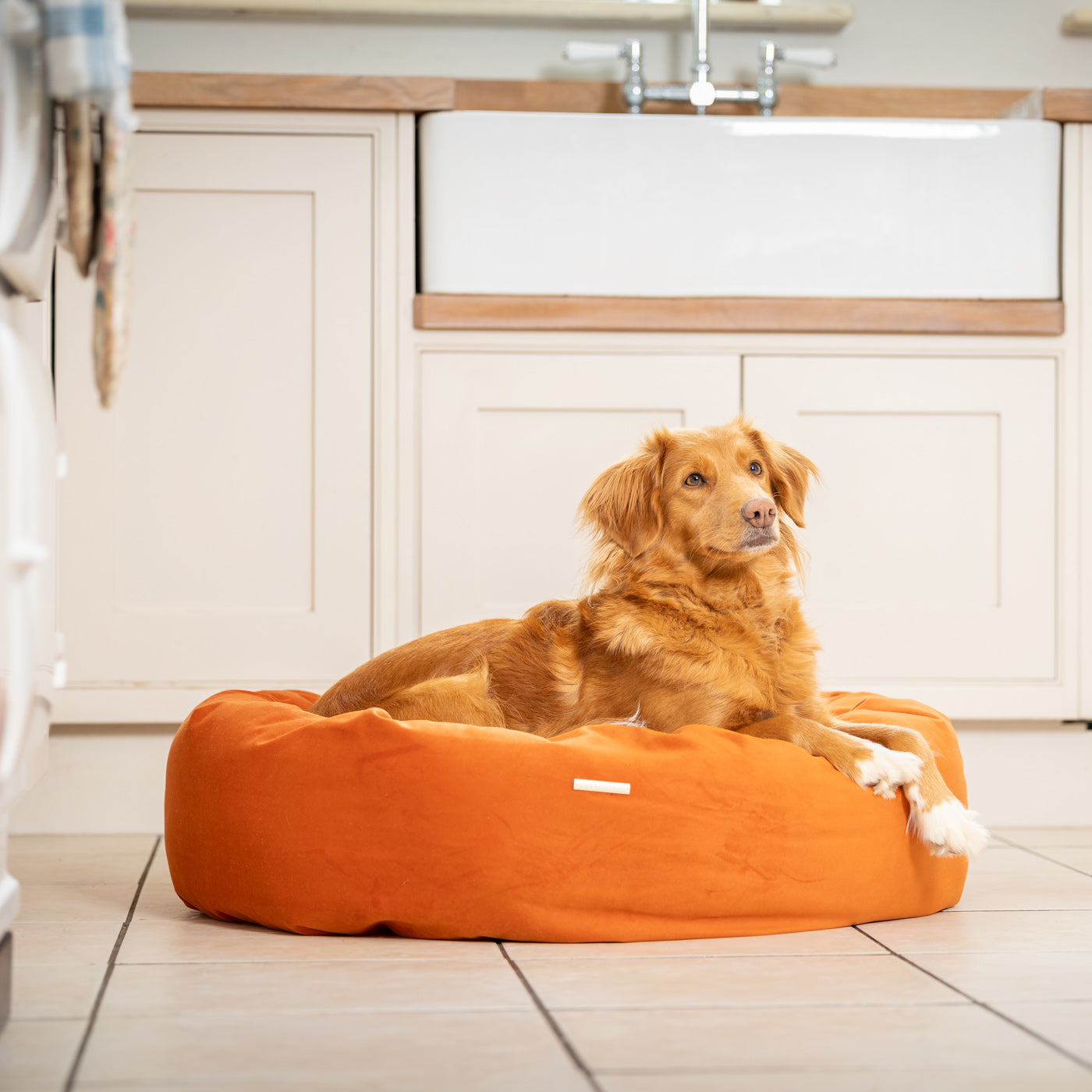 Donut Bed With Removable Covers in Pumpkin Velvet by Lords & Labradors