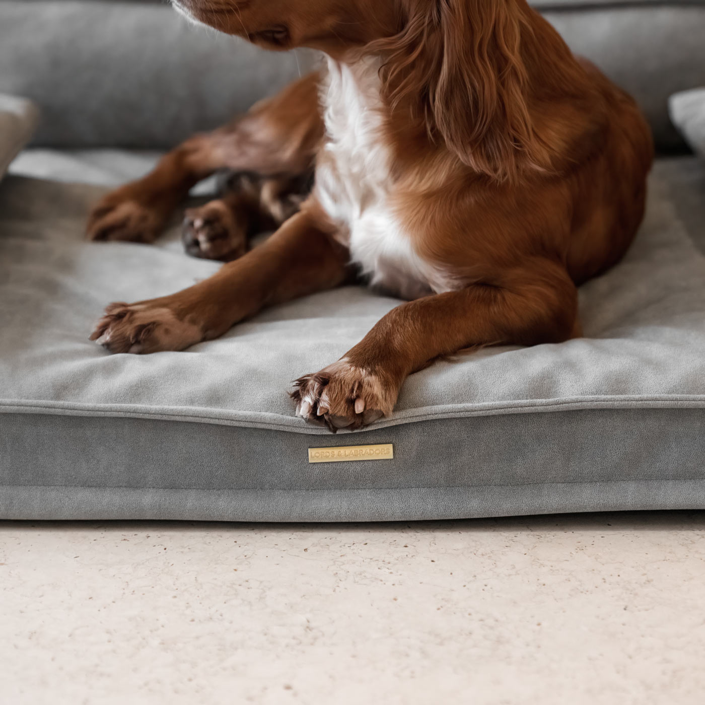 Introducing our luxury dog sofa in stunning ash grey, featuring squishy foam inner for maximum comfort and removable arms to adjust your dog’s sleeping preference! The perfect sofa for dogs available now at Lords & Labradors