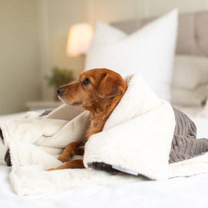  Discover Our Luxurious Grey Essentials Plush Dog Blanket With Super Soft Sherpa & Teddy Fleece, The Perfect Blanket For Puppies, Available To Personalise And In 2 Sizes Here at Lords & Labradors