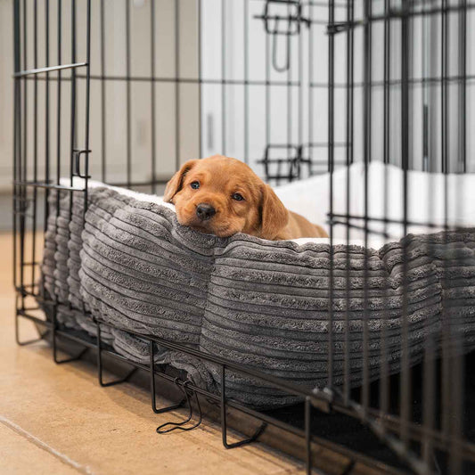  Cosy & Calm Puppy Crate Bed, The Perfect Dog Crate Accessory For The Ultimate Dog Den! In Stunning Dark Grey Essentials Plush! Available Now at Lords & Labradors