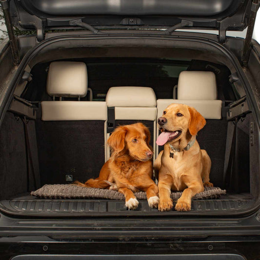 Embark on the perfect pet travel with our luxury Travel Mat in Essentials Dark Grey. Featuring a Carry handle for on the move once Rolled up for easy storage, can be used as a seat cover, boot mat or travel bed! Available now at Lords & Labradors