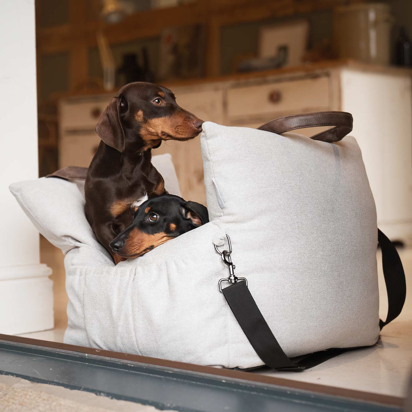 Embark on the perfect pet travel with our luxury Easy Traveller Seat! Featuring removable inner cushion with with cover for easy cleaning! Available now at Lords & Labradors