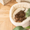 Grow With Me Puppy Bed in Cream by Lords & Labradors