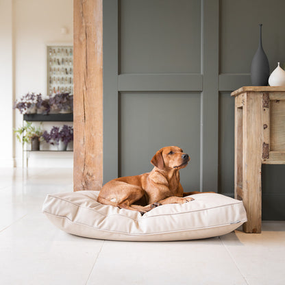 Luxury Dog Cushion in Rhino Tough Faux Leather in Sand, The Perfect Pet Bed Time Accessory! Available Now at Lords & Labradors