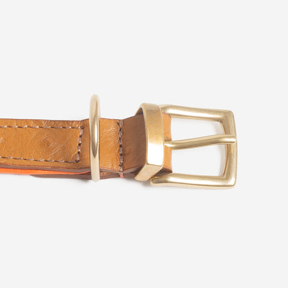 Discover dog walking luxury with our handcrafted Italian Ostrich leather dog Collar in Tan & Orange! The perfect Collar for dogs available now at Lords & Labradors