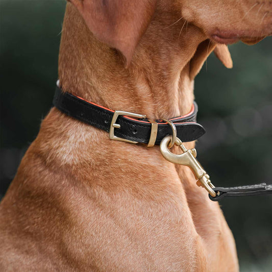 Discover dog walking luxury with our handcrafted Italian real leather, embossed with an Ostrich inspired print for the ultimate luxurious look, Dog Collar in Black & Orange! The perfect Collar for dogs available now at Lords & Labradors