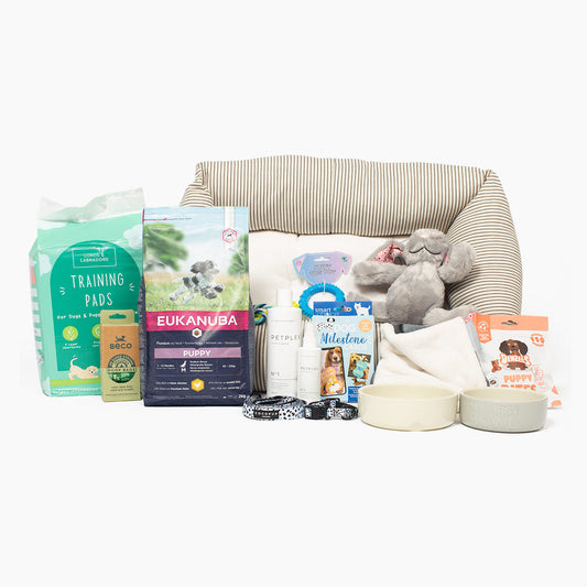Puppy Essentials Pack for Medium Breeds by Lords & Labradors