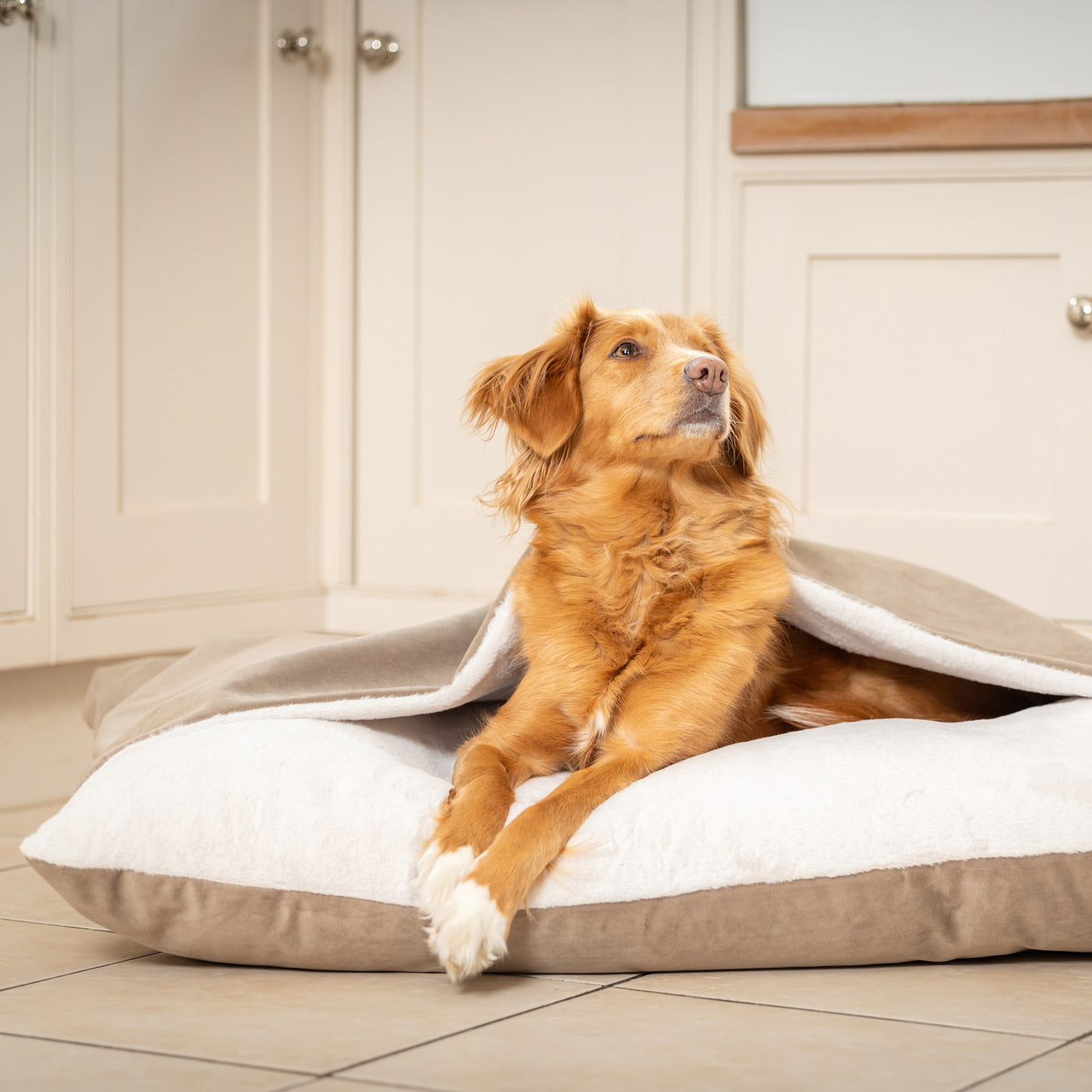 Sleepy Burrows Bed With Removable Cover In Clay Velvet by Lords & Labradors
