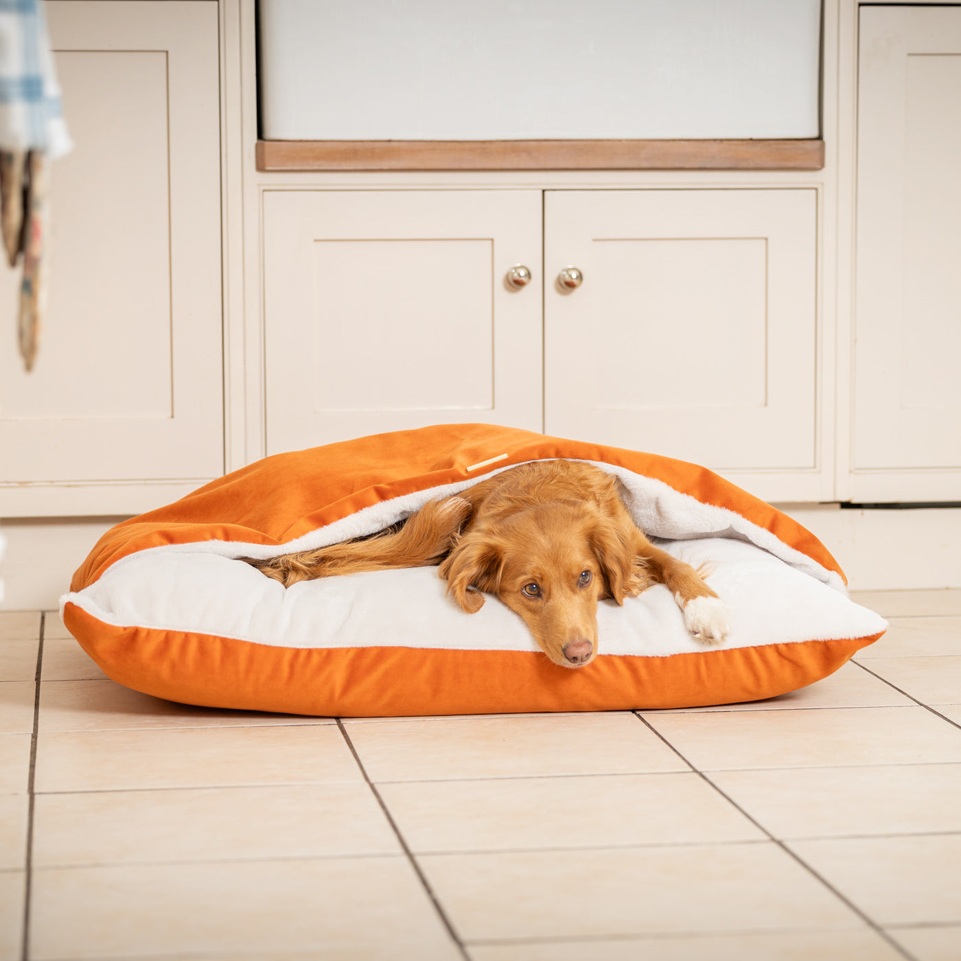 Sleepy Burrows Bed With Removable Cover In Pumpkin Velvet by Lords & Labradors