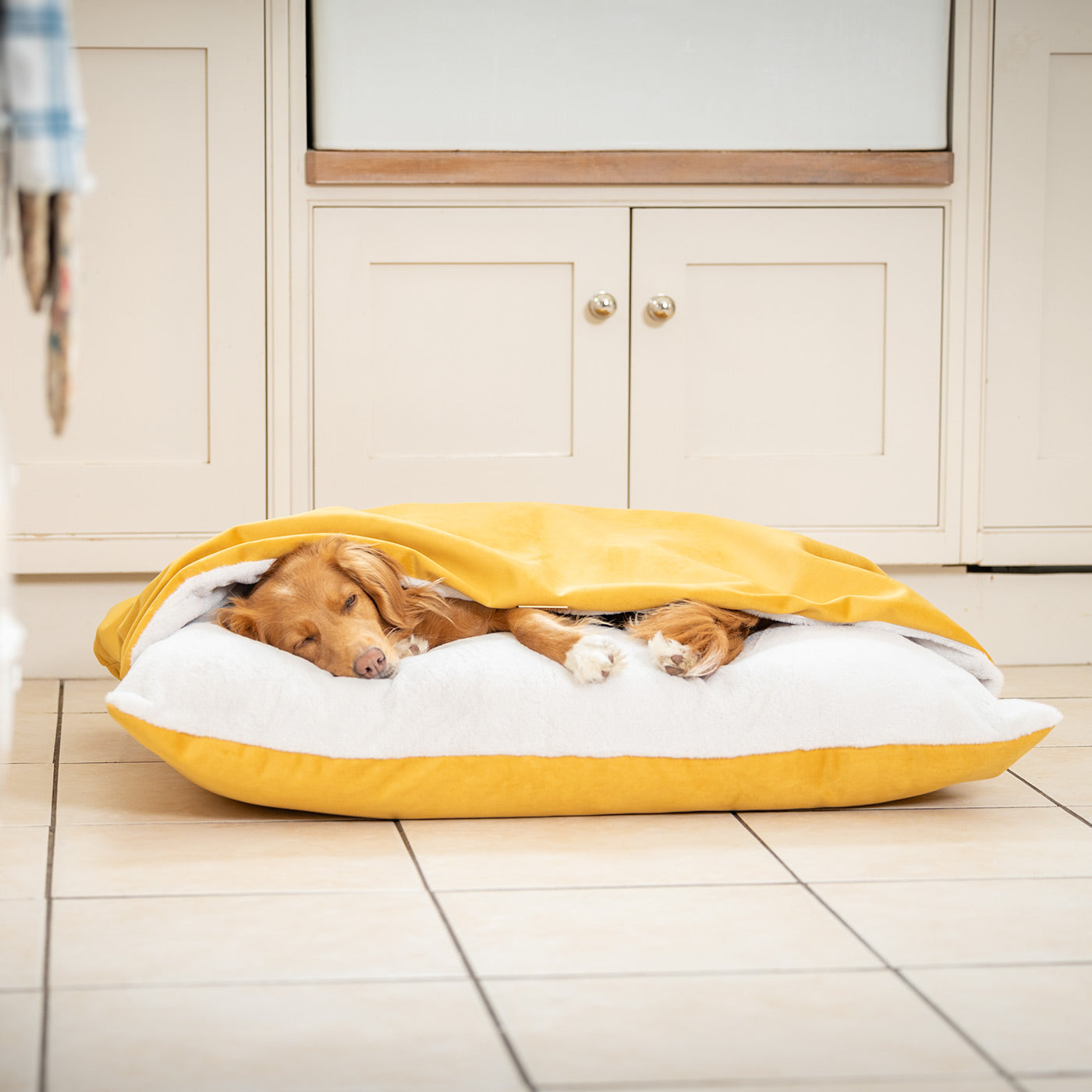 Sleepy Burrows Bed With Removable Cover In Saffron Velvet by Lords & Labradors
