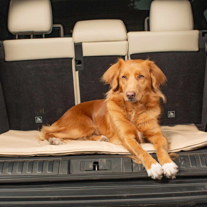Embark on the perfect pet travel with our luxury Travel Mat in Rhino Sand. Featuring a Carry handle for on the move once Rolled up for easy storage, can be used as a seat cover, boot mat or travel bed! Available now at Lords & Labradors