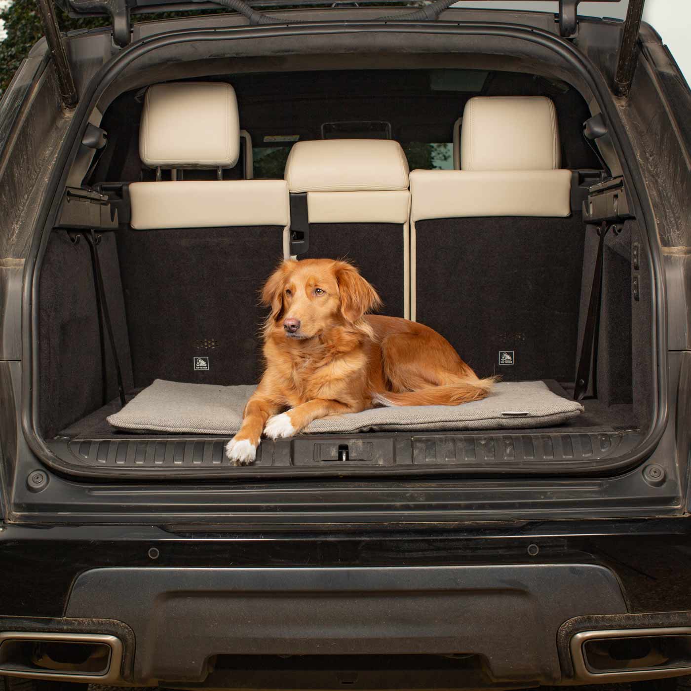 Embark on the perfect pet travel with our luxury Travel Mat in Pewter Herringbone. Featuring a Carry handle for on the move once Rolled up for easy storage, can be used as a seat cover, boot mat or travel bed! Available now at Lords & Labradors