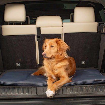Embark on the perfect pet travel with our luxury Travel Mat in Rhino Pacific. Featuring a Carry handle for on the move once Rolled up for easy storage, can be used as a seat cover, boot mat or travel bed! Available now at Lords & Labradors