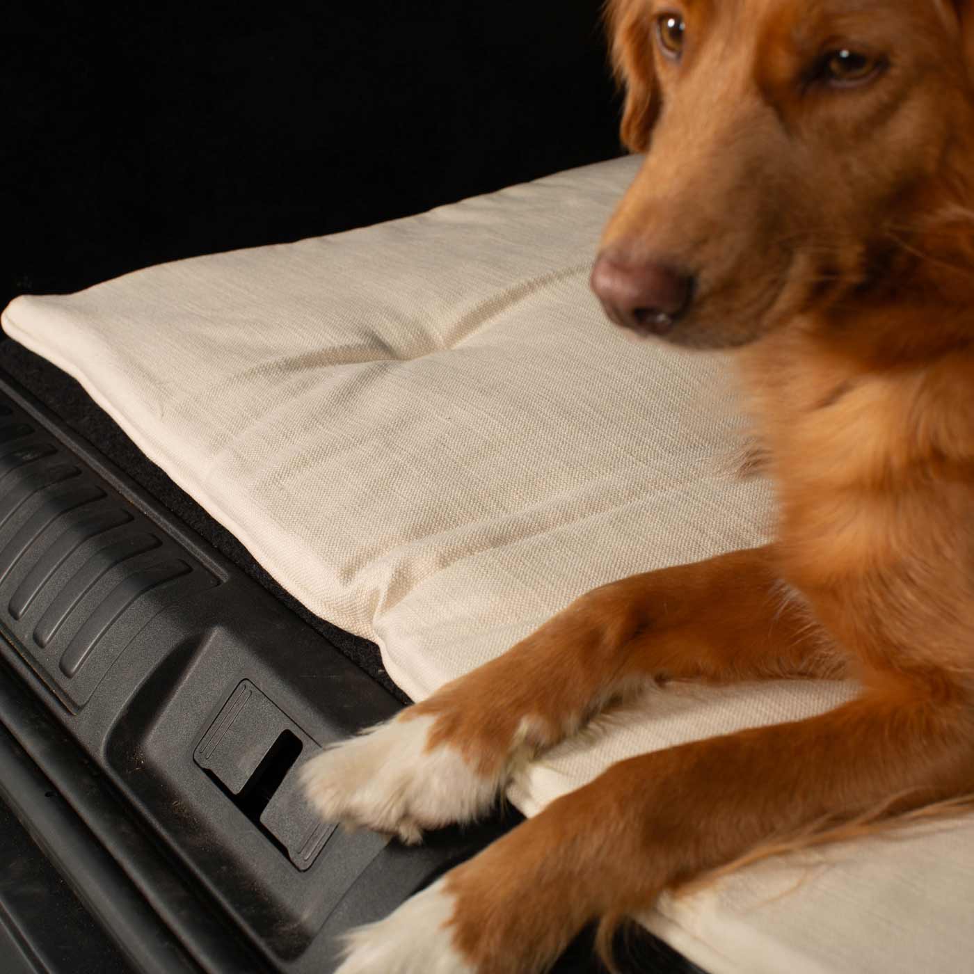 Embark on the perfect pet travel with our luxury Travel Mat in Savanna Bone! Featuring a Carry handle for on the move once Rolled up for easy storage, can be used as a seat cover, boot mat or travel bed! Available now at Lords & Labradors