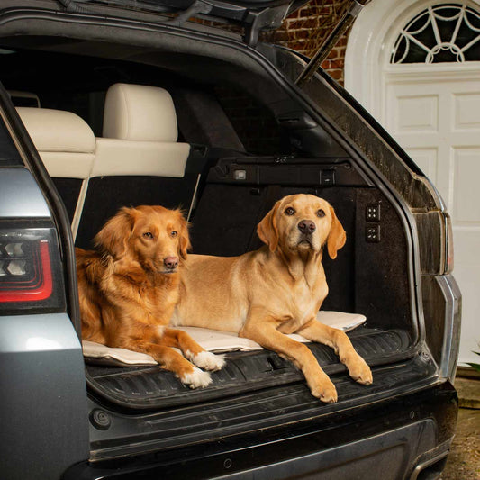 Embark on the perfect pet travel with our luxury Travel Mat in Savanna Bone! Featuring a Carry handle for on the move once Rolled up for easy storage, can be used as a seat cover, boot mat or travel bed! Available now at Lords & Labradors