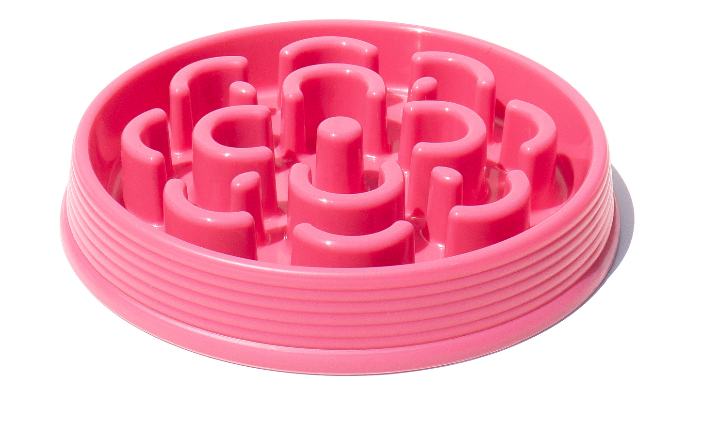 Slow Chow Medallion Feeder
