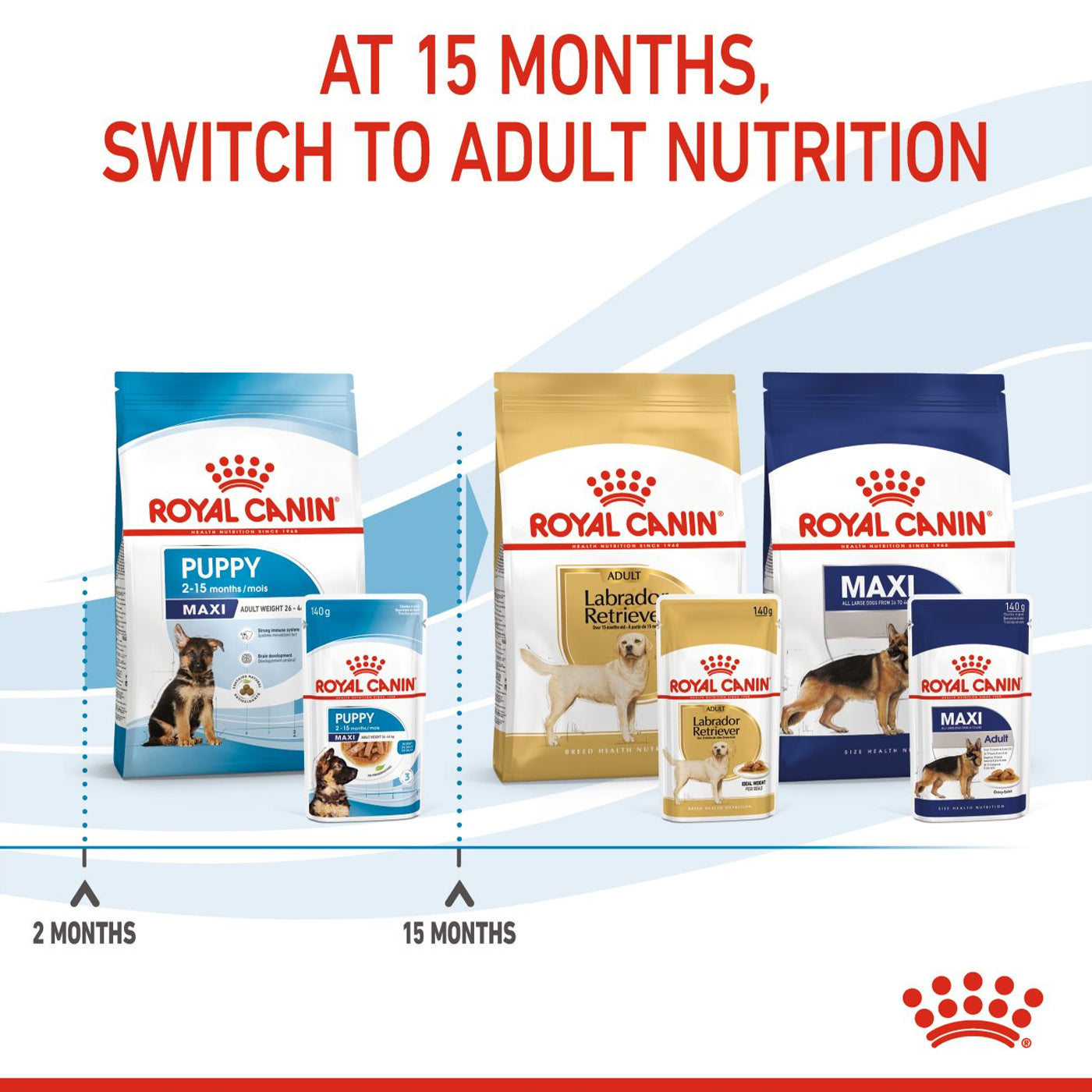 Royal Canin Puppy Maxi Breed Wet Dog Food Chunks in Gravy (10 x 140g)
