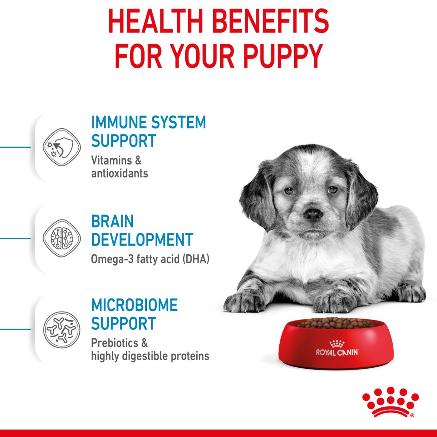Royal Canin Medium Dry Puppy Food