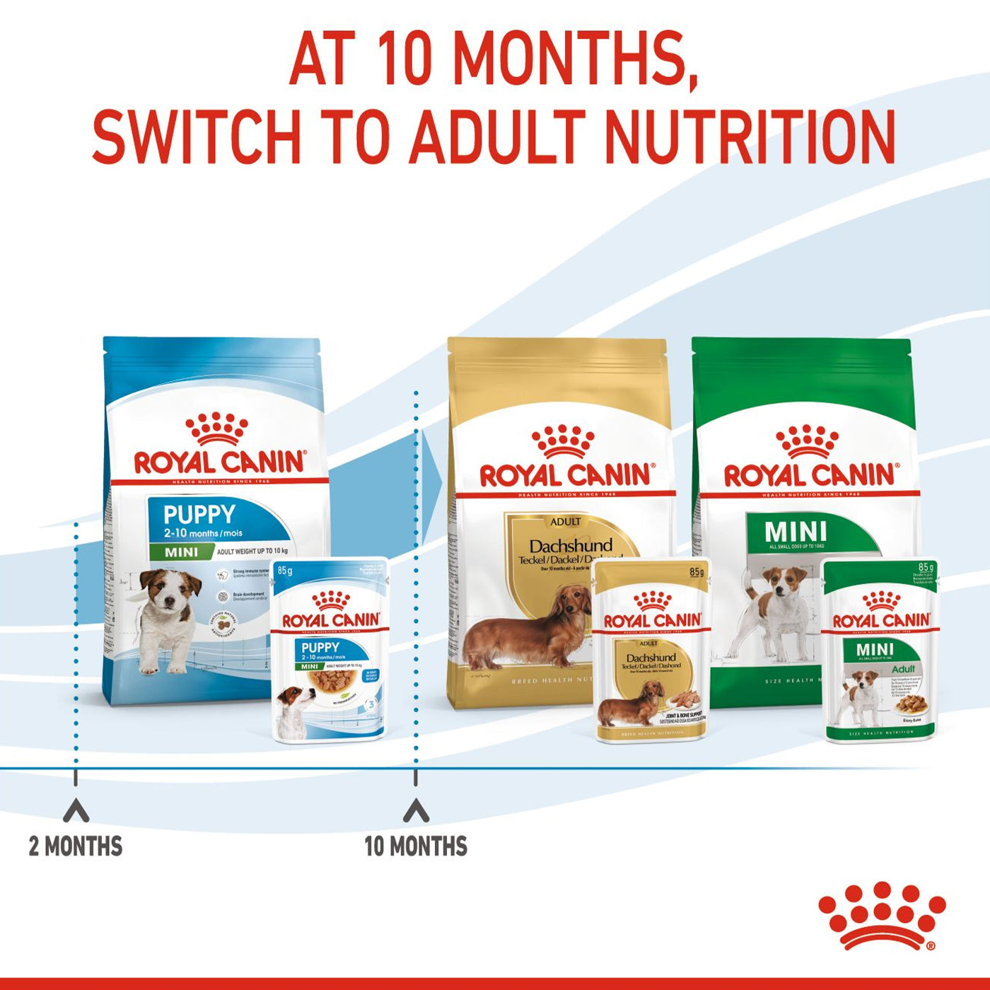 Royal Canin Puppy Mini Breed Wet Dog Food Chunks in Gravy (12 x 85g)