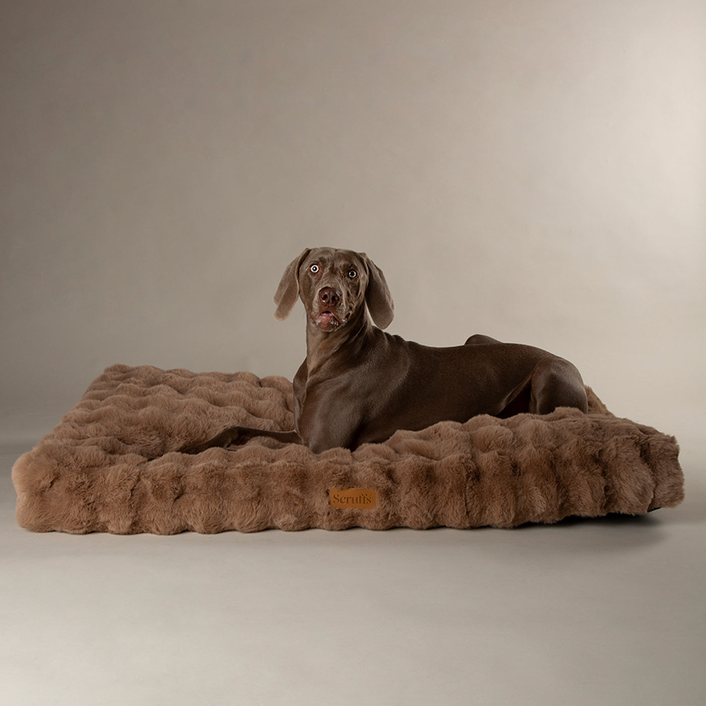 Scruffs Alpine Taupe Dog Mattress