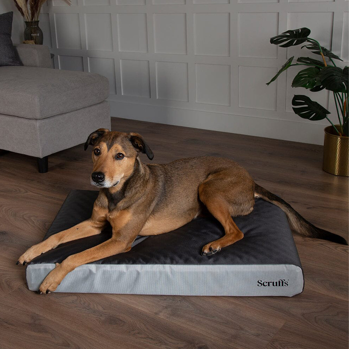 Scruffs ArmourDillo Orthopaedic Dog Bed - Grey | Lords & Labradors